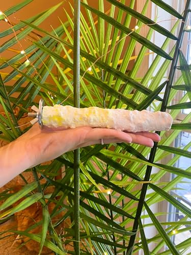 Polly's Edible Cuttlebone Calcium Bird Cage Perch for Budgies, Parakeets, Amazons, Blue & Golds, Macaws and Cockatoos.… (Pineapple, Medium) - color: Pineapple, size: Medium
