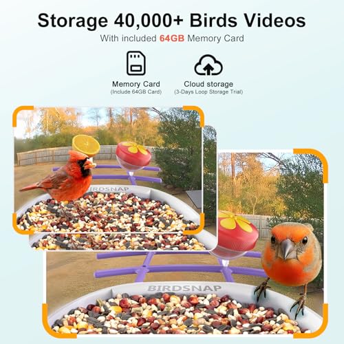 birdsnap® PAV Bird Feeder with Camera Solar Powered 2K Live Video 64GB Card | AI Bird Species Identification, Instant Arrival Alerts, IP65 Waterproof, Wild Bird Feeders for Outdoors, Gift for Bird Lovers - color: Purple