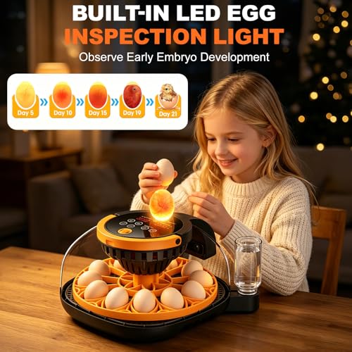 12-Egg Incubator for Hatching Chicken Eggs with WiFi Camera and Auto Turner | Built-in egg candler, temperature and humidity control, app monitoring and 8GB microSD for duck, quail and pigeon eggs.