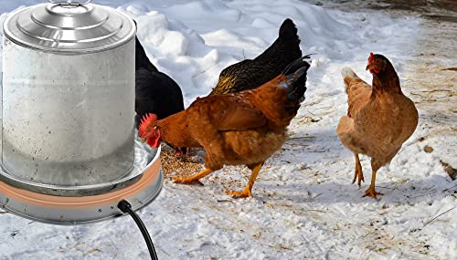 Poultry Chicken Water Heater: Chicken Water Heater Base for Winter, for Plastic/Metal Poultry Watere Under 6 Gallons, Heated Waterer for Chickens 125W - size: 15 inch (1-Pack)