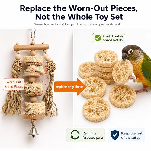 Parrot Shredding Chew Foraging Toys, 10pcs Loofah Chewing Parrot Toys, Bird Cage Shredder Toy, Bird Toy for African Grey Macaws Cockatoos Cockatiel Conure (10 Loofah Slices)
