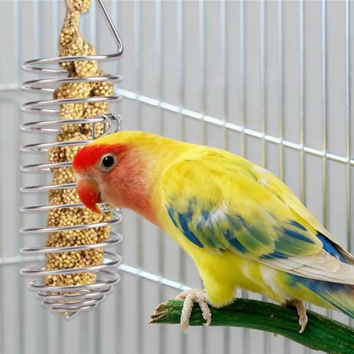 Bird Treats Holder, Stainless Steel Parrot Food Holder Hanging Basket Cage Accessories Bird Foraging Chew Toy Corn Cob Fruit Vegetable Millet Feeder for Macaw Cockatoo Parakeet Canary