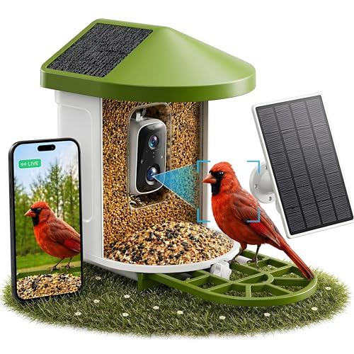 Birvio™ Smart Bird Feeder with Camera, Solar Powered, 1080P HD WiFi Live Stream, AI Bird Identification, Instant Motion Alerts
