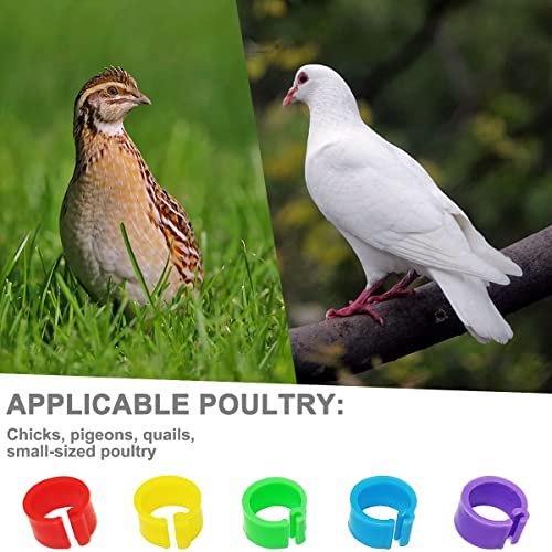 200Pcs 8mm Coturnix Quail Leg Bands Baby Chick Leg Bands Pigeon Bands Chicken Leg Bands Rings 8/16/20/25mm - size: 8mm - 200Pcs
