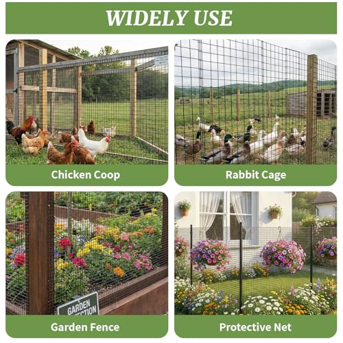 19-Gauge Galvanized Hardware Cloth, 1/2 in Mesh, 48 in x 100 ft | 1/2-inch welded wire mesh roll for chicken coops, garden barriers, tree guards, cage repairs and DIY screens - color: Black, size: 1/2in x 48in x 100ft