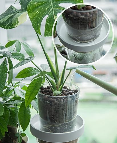 Phoenix Vine 8 Inch Plastic Plant Saucer Water Drip Tray, Heavy Sturdy Round Plant Drainage Tray for Indoors Outdoor, Set of 2, Matte White, 21-TY-8W-2 - size: 8"