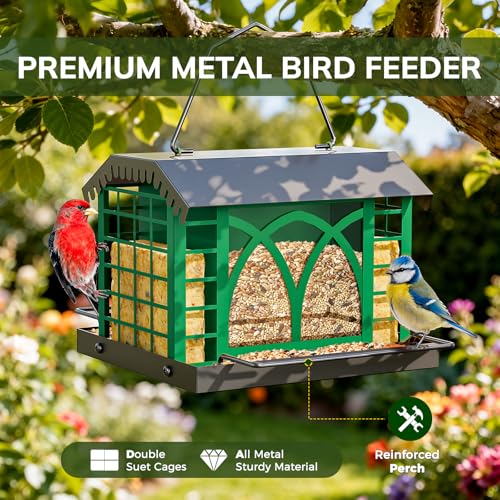 Bird Feeders for Outdoors Hanging, Metal Bird Feeder with Double Suet Cage Weatherproof Metal Roof, 3.5Lbs Large Capacity Great for Attracting Finch Cardinal Chickadee Wild Birds, Branch Green - color: Branch Green