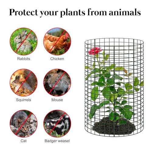 30 Pcs 24'' x 12'' Large Wire Plant Protector from Animals, 10 Pack Metal Plant Cage Chicken Wire Cloche with Ground Stakes and Nylon Tie to Keep Animals Out, Garden Protection Bunny Barricade - size: 10 Pack 24'' x 12''