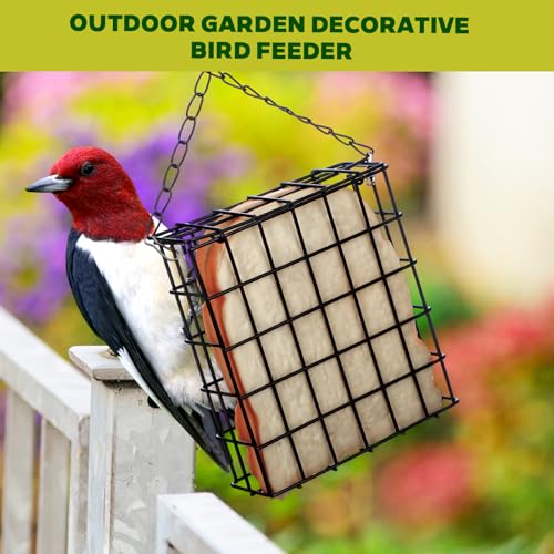 6 Pack Suet Bird Feeders, Outdoor Hanging Metal Cage for Wild Birds, Single Suet Cake Capacity, Garden and Yard Decor