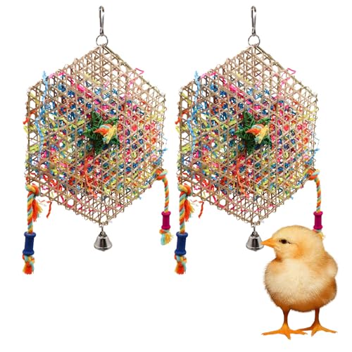 2 Pack Chicken Chewing Toys, Hanging Chick Foraging Shredder Toys, Suitable for Chicken Chick Parrot Cockatiel Conure African Grey Lovebird