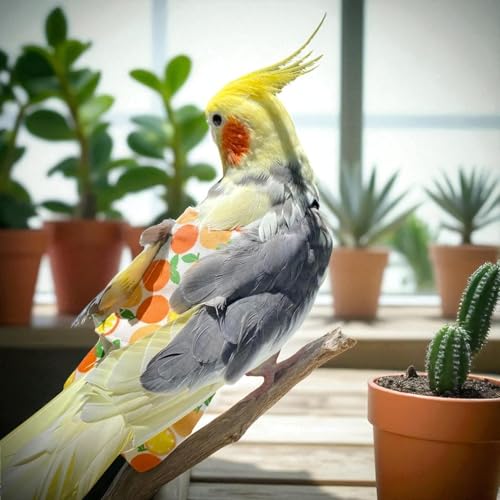 6PCS Washable Reusable Bird Diapers with Waterproof Lining & Adjustable Straps – Soft Parrot Diaper Clothes Costume Set for for Parakeets, for Budgies, for Mini Macaws (M) - size: M