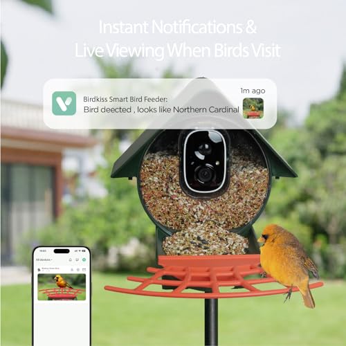 Smart Bird Feeder with Camera Solar Powered, AI Auto Capture Bird Videos & Motion Detection, Bird Watching Camera Notify in Time, Wireless Camera Ideal Present for Bird Lover (Olive Green) - color: Green, size: Basic