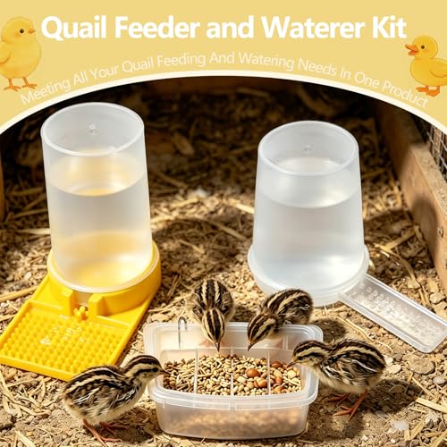 3 Pack 400ml Quail Water Feeder, Feeder Plastic Poultry Ideal for Button Quail, Baby Chicks, Ducks, and Baby Birds, Anti Drowning Design, Easy to Install