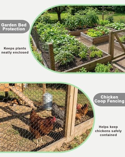 Black PVC Coated Chicken Wire, 36in x 50ft Poultry Netting Roll, 1 inch Hex Mesh Garden Fence for Chicken Coop, Rabbit Pen, Yard - size: 36 inchx50 Ft