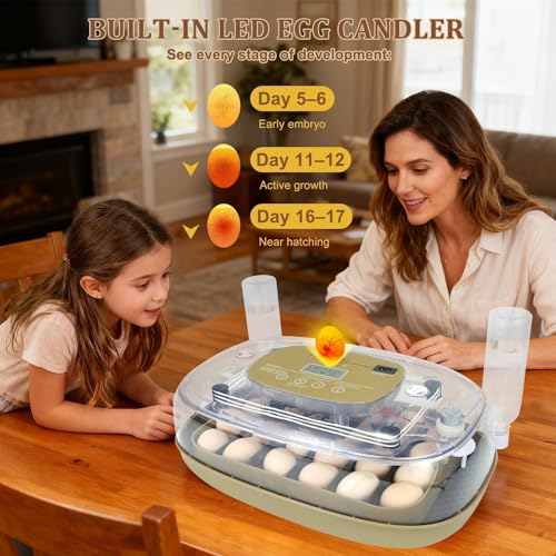 Series III - 24 Egg Automatic Incubator, Full-Stage Adaptive Humidity (Dual-Bottle) & Auto Temp Control, Custom-Interval Auto Turn & Auto Stop, Preset Incubation Days, Adjustable Egg Spacing, Candler - size: 24-Egg Green