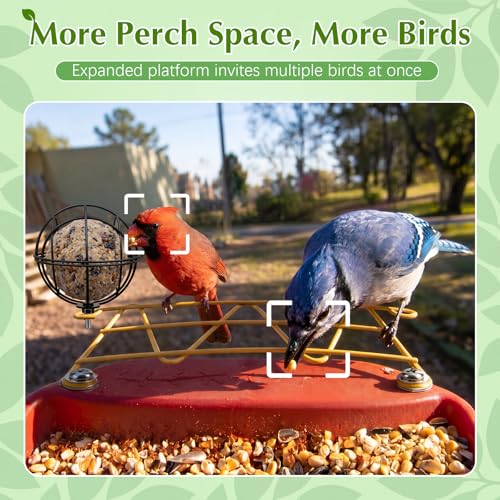 Metal Perch Extender & Suet Ball Holder Compatible with Bird Buddy Feeder | Rust-Resistant Outdoor Birds Feeder Accessory, Wider Landing Space, Add On with Screws Included