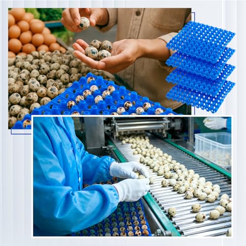 Teenyyou 10 Pcs 90 Egg Plastic Trays Quail Egg Flats Holder for Quail Pigeon Dove Bird Flat Carton (Blue) - color: Blue