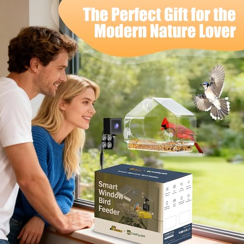 Window Bird Feeder with Strong Suction Cups & Smart Waterproof Bird Camera | 2K Clear Vision, AI Bird Recognition Tech, Real-Time Alerts, Easy to Use, Detachable Tray, 2.4G, USB Powered, for Home - color: Black