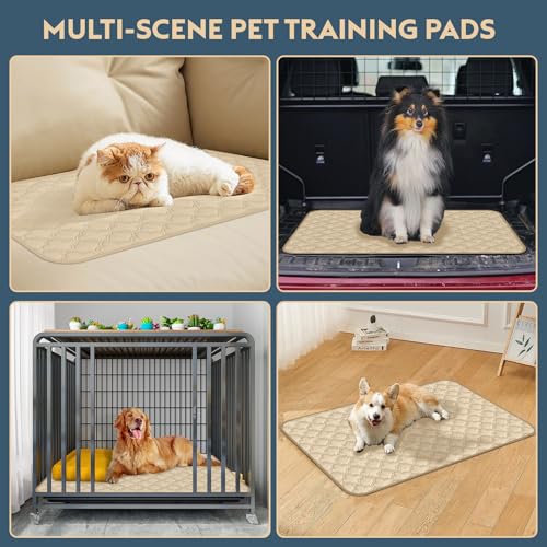 FunFurry Washable Pee Pads for Dogs - 2 Pack Reusable Puppy Pads，Waterproof Training Pads，Guinea Pig Cage Liner, Puppy Pee Pads with Non-Slip Backing (Cream, 36" X 48" - 2 Pack) - color: Cream, size: 36" X 48" - 2 Pack