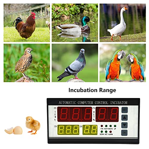 Automatic Control System for Egg Incubator Machine and Temperature and Humidity Control Machine (XM-18ZP)