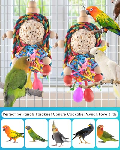 Bissap Conure Toys, 2PCS Bird Parrot Foraging Shredder Hanging Toys Sola Balls with Sand Hammer for Small Parrots Parakeets Conures Cockatiels Love Birds Cage Toy