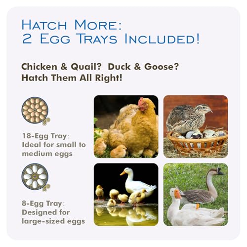 OtterVerz 11 Egg Incubators for Hatching 18-36 Chicken/Quail/Turkey Eggs, 360° View Poultry Incubator with Automatic Egg Turning and Humidity Control, Suitable for Farm, Classroom, Home