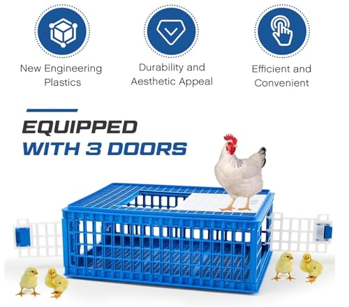 Chicken Transport 3 Door CAGE COOP Crate Chicken Quail Pigeons