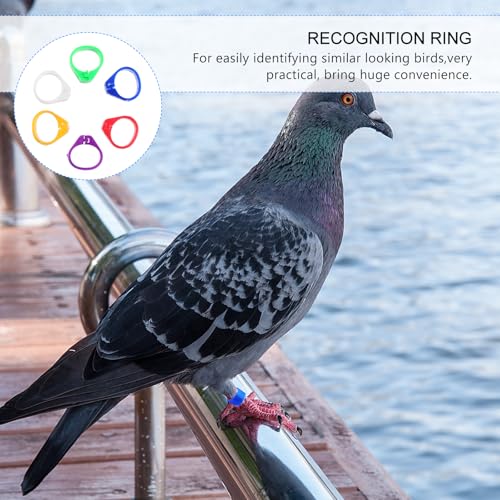 200Pcs Pigeon Foot Rings Lightweight Bird Leg Bands for Easy Identification of Pigeons Parrots and Small Birds Multi-Color Clips for Poultry Use