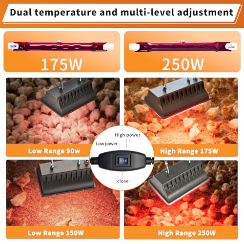 250W Chicken Coop Heat Lamp with Guard & Adjustable Temp | Adjustable 175W/250W infrared heater with safety guard. For chicks, poultry, livestock & small pets. Durable brooder heating. - size: 1 Pack