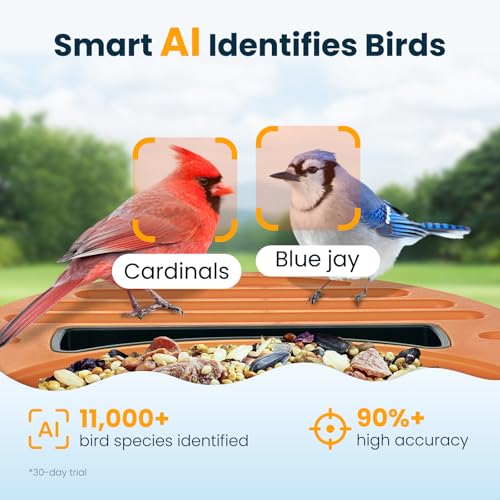 Smart Bird Feeder with Camera, Green | 2.5K UHD, AI Bird Species Identification, Solar Powered, 2.4G WiFi, IP66 Waterproof Outdoor, Instant Alerts, Gift - color: Green