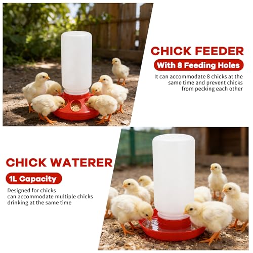 Chicken Feeder and Waterer Set, Chick Starter Kit with Chick Perch