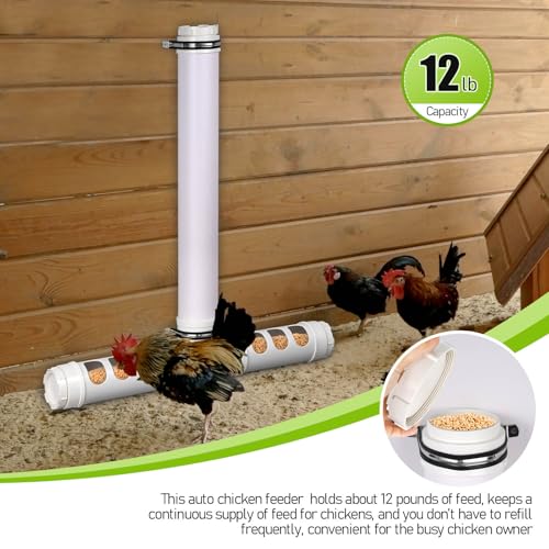 PVC Chicken Feeder 12 Lbs, Automatic Chicken Feeder No Waste | Wall Mounted Chicken Feeder Kit Gravity Fed, Auto Poultry Feeder with 6 Feeding Holes for Chicken Coop