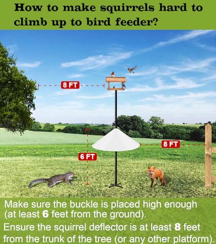 19 Inch Wide Squirrel Baffle for Bird Feeder Pole, Outside Pole Mount Stopper & Bird House Guard for Outdoor Shepherd’s Hook, Semi-Transparent, 1 Pack - color: Semi-Transparent