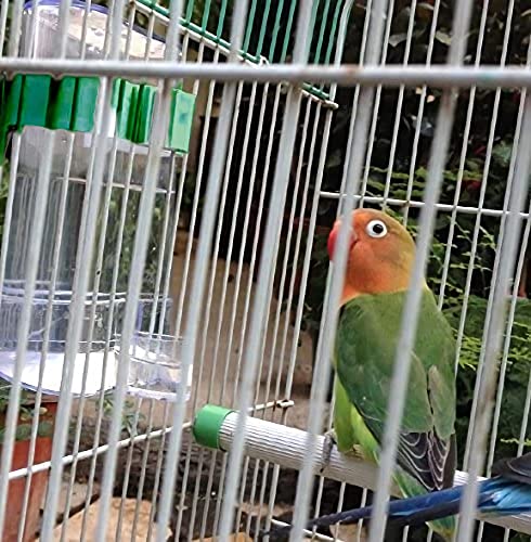 Automatic Bird Waterer Feeder,Parakeet Feeder,2PCS Bird Cage Feeders and Waterers,Parakeet Waterer Cockatiel Cage Accessories