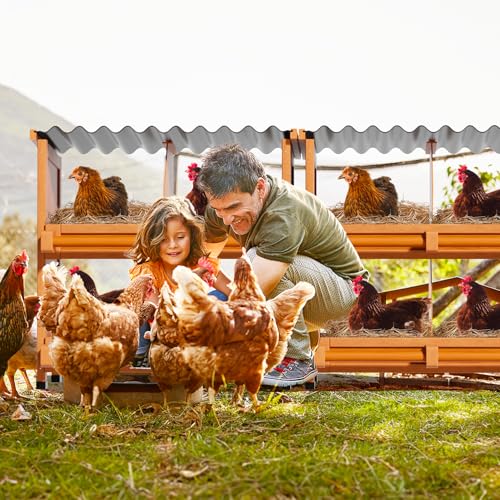 Chicken Nesting Boxes,8 Compartments Wooden Nesting Boxes for Chickens,Laying Nest Boxes for Hens Ducks Poultry Protect Eggs Chicken Coops Easy Egg Collection (8 BOXS) - size: 8 BOXS