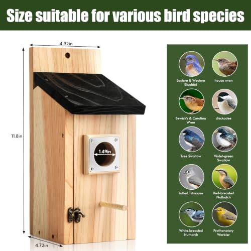 2 Pack Bird Houses for Outside - Cedar Bird House with Metal Predator Guard & Perch, Outdoor Bluebird Nesting Box for Wren Finch Swallow Chickadee, Weather Resistant (Silvery) - color: silvery
