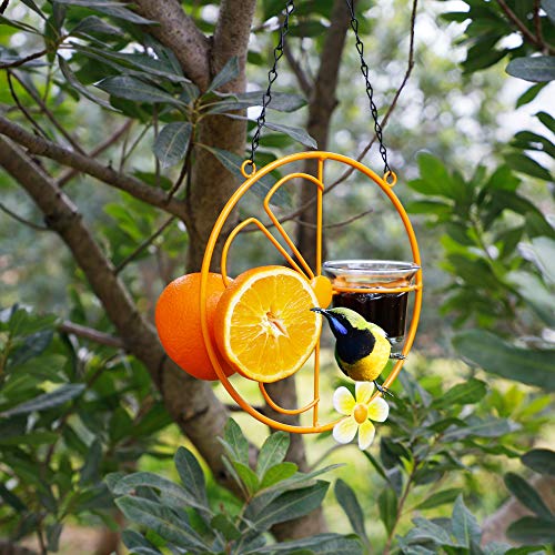 FORUP Oriole Bird Feeder for Outdoors Jelly and Oranges, Orange Fruit Oriole Jelly Bird Feeder, Outdoor Garden Metal Hanging Drinking Grape Jelly Container Hummingbird Feeder, Two Pack