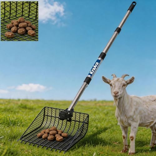 2-in-1 Metal Chicken Poop Scooper & Rake Durable Lightweight Sand Sifting Litter Shovel with Adjustable Long Handle, No-Bend Cleaning Tool for Chicken Coops & Farm Animals & Livestock