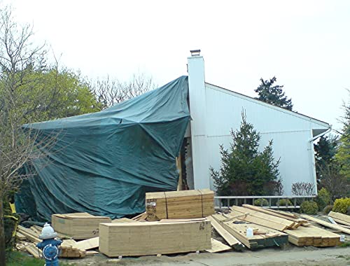Kotap 10 x 15 Ft. Heavy-Duty Protection/Coverage Tarp, 8-mil, Reversible, Multi-Use, Waterproof, Green-Silver, (TGS-1015) - size: 10 x 15 Ft., style: Heavy-Duty 137 GSM Green/Silver
