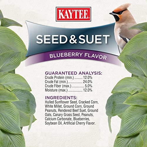 Kaytee Seed & Suet No Mess Blend Blueberry Flavor 10 Pounds - size: 10 Pounds (Pack of 1)