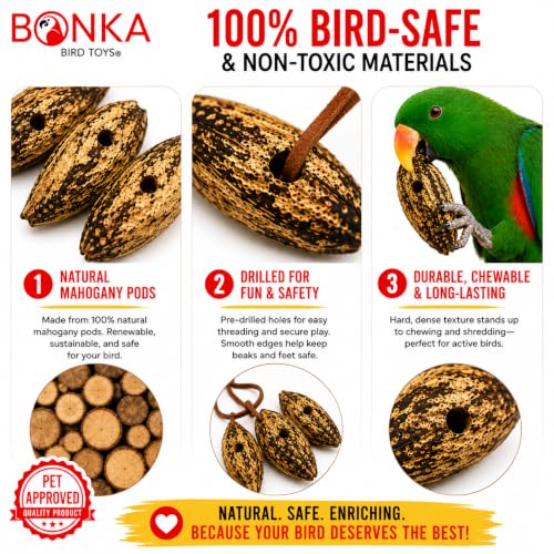 Bonka Bird Toys 3410 Drilled Mahogany Pods Shreddable Foraging Bird Toy with Natural Materials Hanging Cage Toy 9" for Small to Medium Parrots Budgie Cockatiel Conure Chewing Enrichment (Pack of 12) - size: Pack of 12