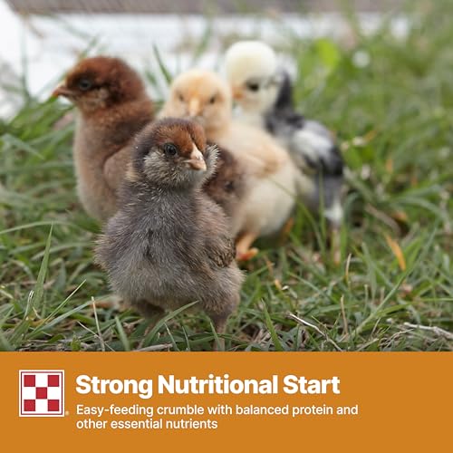 Purina Start and Grow | Non-Medicated Chick Feed Crumbles | Nutritionally Complete - 25 Pound (25 lb.) Bag