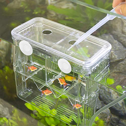 Aquarium Fish Breeder Box Plastic Fish Isolation Breeding Box Hatching Incubator for Baby Shrimp Clownfish Guppy - size: Large