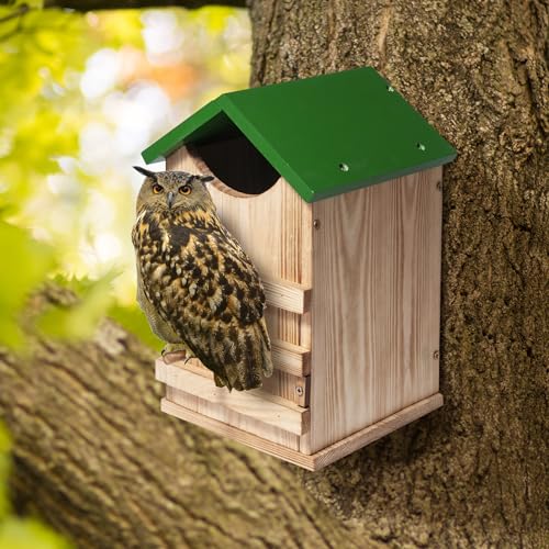 Screech Owl House Owl Box with Bird Stand Design | Nesting Box Wood with Mounting Screws, Cozy House for Lovely Birds, Easy Assembly Required - color: Green