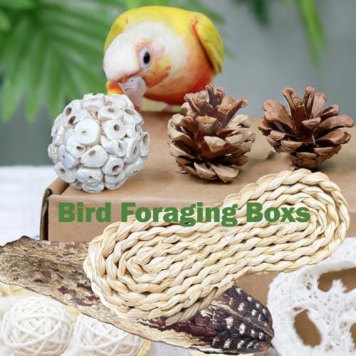 Natural Bird Toys Rattan Bird Foraging Box Parrot Shredding Toys Conure Chewing Toys for Cockatiel Lovebird Parakeet Budgie and Small to Medium Birds (Medium) - size: Medium
