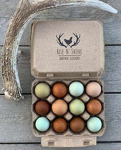 Vintage Egg Cartons for 12 Large Eggs – Classic 3x4 Layout – Durable Recycled Cardboard – Farmhouse Style – Eco-Friendly Packaging - Tan 65 Pack - color: Tan, size: 65