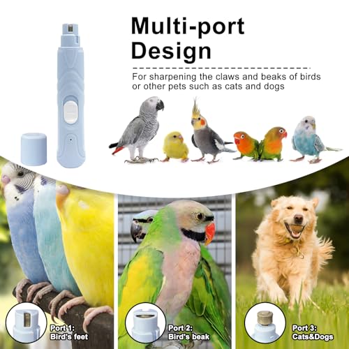 Bird Nail Grinder,Bird Beak Grinder,Silenced Bird Nail File with LED Lamp,Suitable for Budgerigars,Parakeets,Conure,Parakeets,Crested Myna,Lovebirds, Finches.
