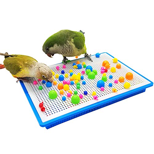 QBLEEV Parrot Puzzle Toys - Bird Intelligence Training, Parakeet & Conure Cage Accessories, Cockatiel Foraging & Chewing Toys - size: Large