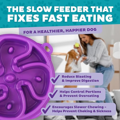 Outward Hound Fun Feeder Slo Bowl – Medium 2‑Cup Capacity,Slow Feeding,Small to Medium Dogs & Cats,Non-Slip,Purple,Flower Pattern,(Pack of 12) - color: Purple, size: Medium (Pack of 12)