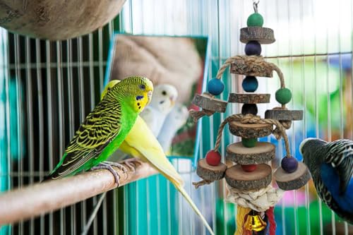 Bird Toys for Conures Parakeet, Birds Cage Accessories, Bird Shredding Foraging Toys for Cage - color: WoodMan